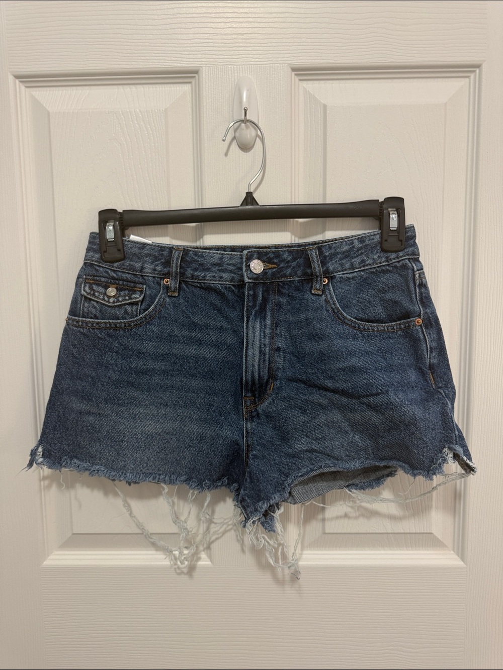 PacSun High Rise Festival Shorts